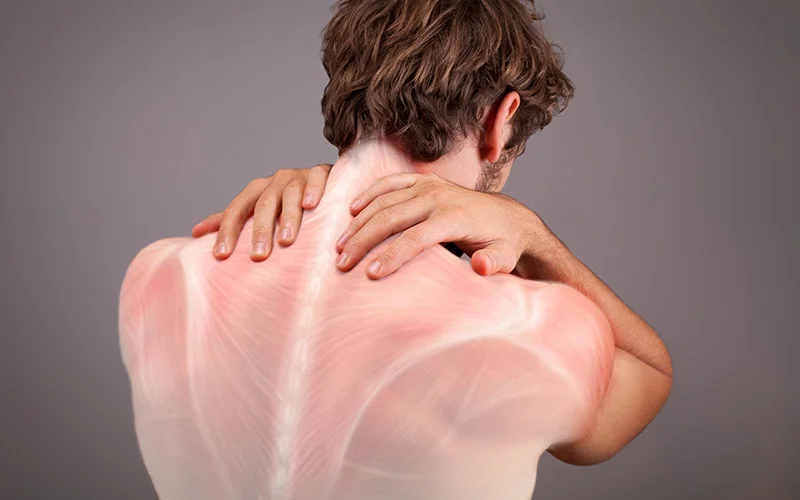 ak powięź wpływa na Twoją postawę, ruch i elastyczność – i co możesz z tym zrobić