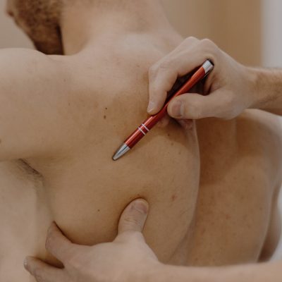 Anatomia palpacyjna
